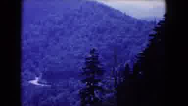 Miami Florida USA (1960): The Mountains Road And The Mountain Around The Trees And