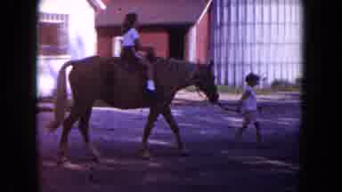 Miami Florida USA (1960): Those Kids Ride Two Great Horses At The Road