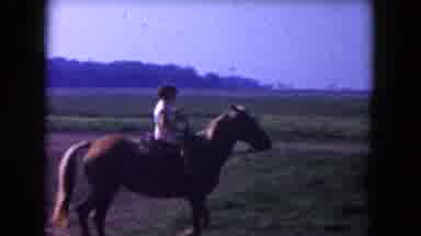 Miami Florida USA (1960): Person Riding A Horse On A Dirt Road With Trees And