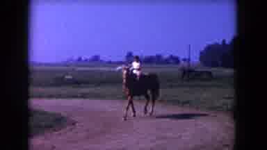 Miami Florida USA (1960): Person Riding A Horse Near A Highway On A Dirt Road