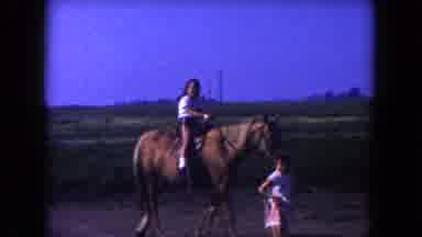 Miami Florida USA (1960): A Lady Leads A Horse Being Ridden By A Child