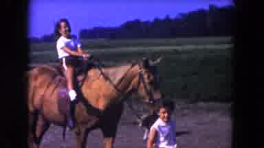 Miami Florida USA (1960): A Young Child With Curly Hair Leads A Horse Who Is
