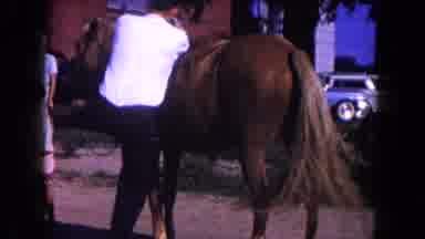 Miami Florida USA (1960): Dad Succeeds To Get On The Horse