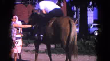 Miami Florida USA (1960): Proud Man Mounting A Big Brown Horse Aided By An