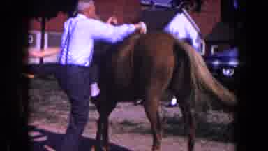 Miami Florida USA (1960): Happy That Man Riding A Horse At The Garden