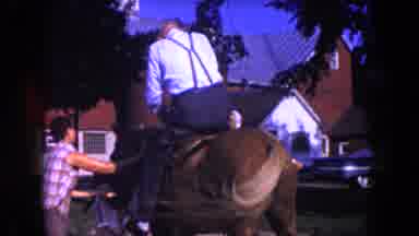 Miami Florida USA (1960): A Person Sitting On The Horse To Travelling And They