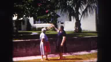 Tampa Florida USA (1960): Women Notice A Large Garden Outside Their Homes With