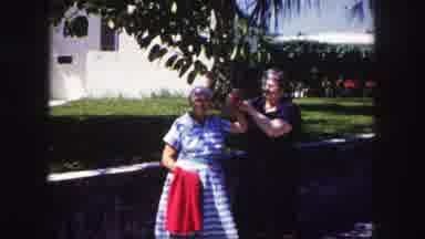 Tampa Florida USA (1960): A Ladies Are There In The Park They Posing The