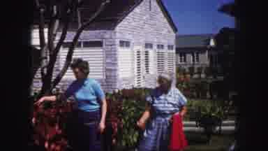 Tampa Florida USA (1960): The Peoples Are Discussing Some Topic On The Garden