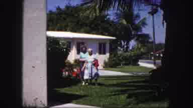 Tampa Florida USA (1960): The Peoples Are Decorating The Trees For Celebrating The