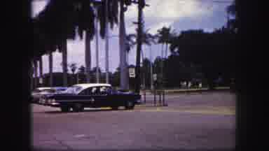 Tampa Florida USA (1960): 1950s Cars Driving On Street With Palm Trees Some
