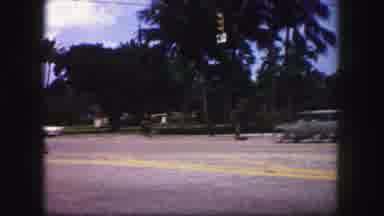 Tampa Florida USA (1960): Scene Of Cars Driving By On A Road With Palm Trees