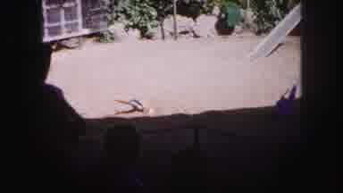 Tampa Florida USA (1960): The Birds Are There In The Cage On The Park