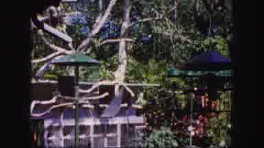 Tampa Florida USA (1960): Birds Parrot Zoo Small Free Court Nature Trees Flowers