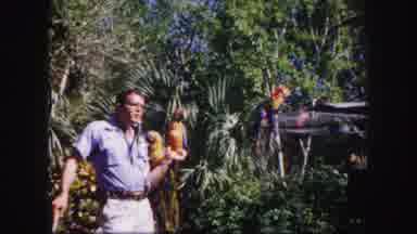 Tampa Florida USA (1960): The Persons Hold A Beautiful Pancreas It Is Very