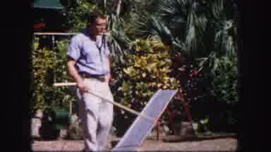 Tampa Florida USA (1960): Dog Trainer Taking His Job To The Next Level
