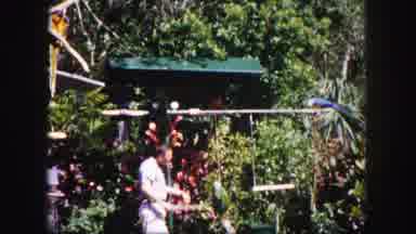 Tampa Florida USA (1960): A Person Train To The Birds How To Swing And How To