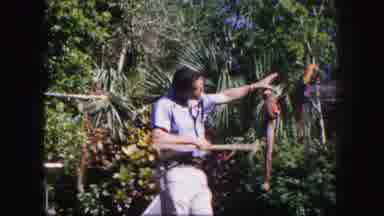 Tampa Florida USA (1960): The Man Was Talking And Playing To The Bird