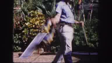 Tampa Florida USA (1960): A Man With A Can Walks While Swinging A Parrot