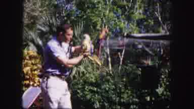 Tampa Florida USA (1960): Man Is Swinging A Bird Around And Standing In A Garden