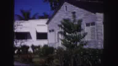 Tampa Florida USA (1960): Several Houses Are Shown With A Glimpse Of The Street On