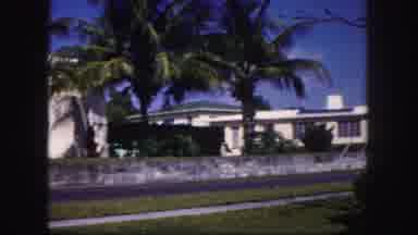 Tampa Florida USA (1960): It Is The Beautiful Place Look Like A Very Nature Place