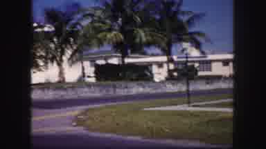 Tampa Florida USA (1960): It Is The Beautiful Place Look Like A Very Nature Place