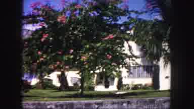 Tampa Florida USA (1960): The Art House Was Building Is A Beautiful