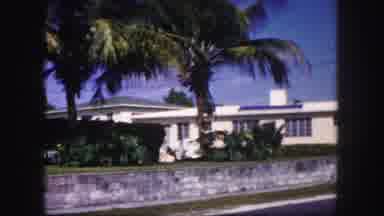 Tampa Florida USA (1960): White House Urbanization Garden With Grass Palm Trees