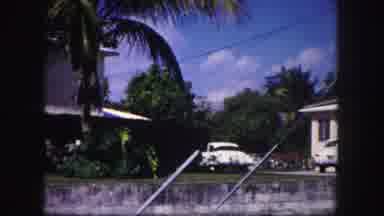 Tampa Florida USA (1960): It Is The Beautiful Place Look Like A Very Nature Place