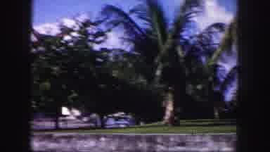 Tampa Florida USA (1960): The Lady Is Standing In The Outside Of The Park