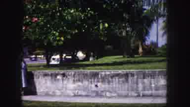 Tampa Florida USA (1960): A Lady In The Residence Is Located On The Garden They