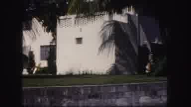 Tampa Florida USA (1960): The Backyard Of Two Big White Houses With Palm Trees And