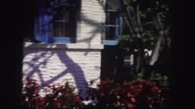 Tampa Florida USA (1960): The Beautiful House Has Trees And Flowers Around It