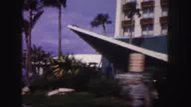 Tampa Florida USA (1960): Hotels In Coastal City With Palm Trees And Avenues