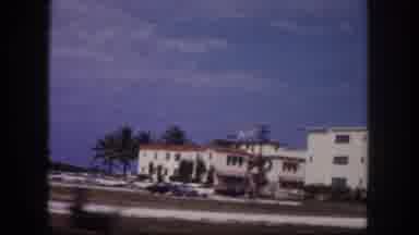 Tampa Florida USA (1960): A Beautiful Area With A Lot Of Buildings And Palm Trees