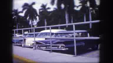 Tampa Florida USA (1960): So Many Cars Are Parking Near The Coconut Trees