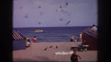 Tampa Florida USA (1960): Seagulls Fly Against The Wind While People Relax On A