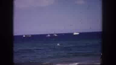 Tampa Florida USA (1960): The House Is Like A Boat To Look At And Is Natural