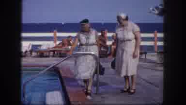 Tampa Florida USA (1960): Enjoying The Good Life With Her Best Friend At Any Age