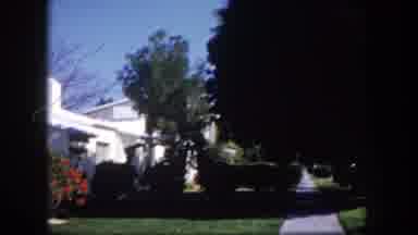 Tampa Florida USA (1960): A Quiet Street Lined With Homes With Lawns Is Followed