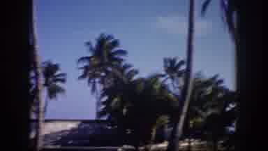 Tampa Florida USA (1960): Beach Houses Surrounded By Palm Trees Ideal For Family