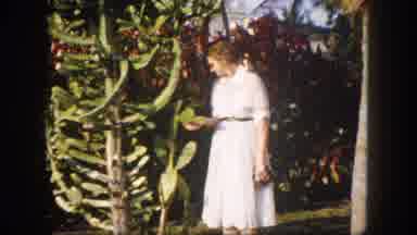 Tampa Florida USA (1960): Woman Takes Care Of Her Garden Very Well Cared For And