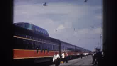 Tampa Florida USA (1960): It Is The Biggest Train Seeing A Very Beautiful And