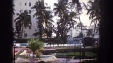 Tampa Florida USA (1960): Buildings With Palm Trees In Front Of Them Cuts To A