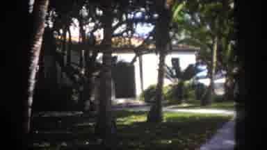 Tampa Florida USA (1960): Recording Of The Front Yard Of A House With Many Trees