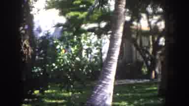 Tampa Florida USA (1960): Camera Pans Across The House's Front Lawn And Captures