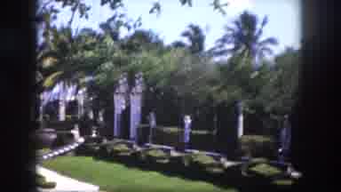 Tampa Florida USA (1960): In This Pillar Surrounded By The Green Leaves And The