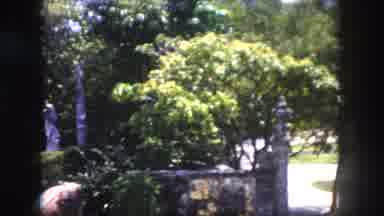 Tampa Florida USA (1960): The Lady And The Garden Paired Evenly In The Past