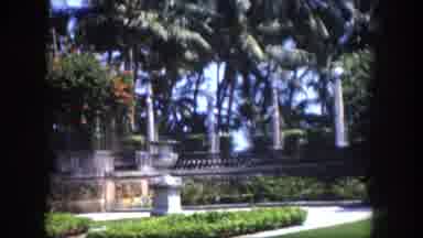 Tampa Florida USA (1960): The Person Is Walking In The Beautiful Place
